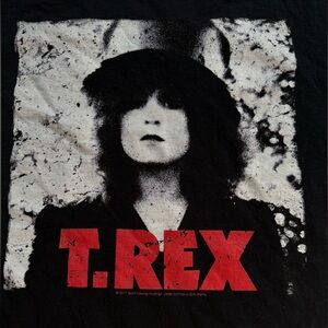 Hanes Black T. Rex Graphic Tee